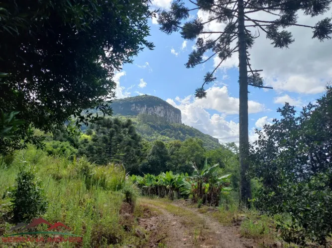 SITIO RURAL em Nova Petrópolis - RS, Linha Riachuelo