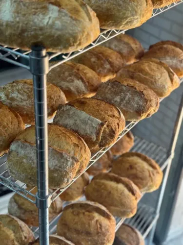 OPORTUNIDADE DE INVESTIMENTO - PADARIA & CAFETERIA EM OPERAÇÃO | MARINGÁ/PR