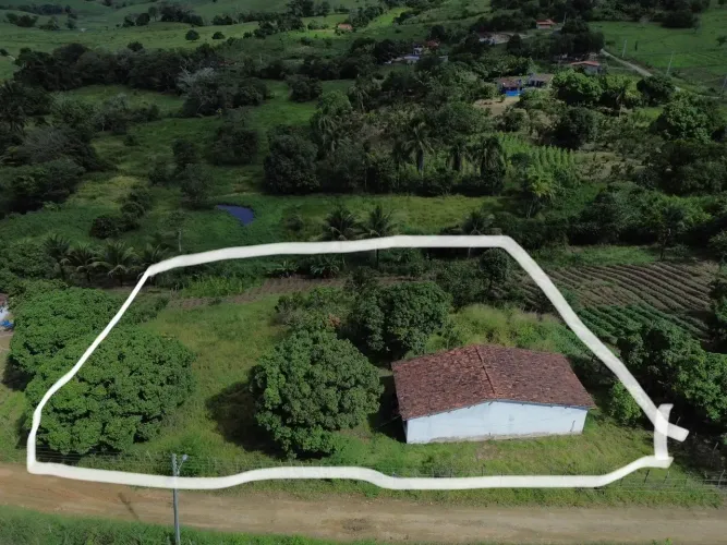 Viçosa-AL ? sítio a venda.