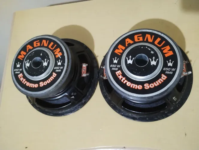 Alto- falante MAGNUS REX 650w,RMS 6"polegadas