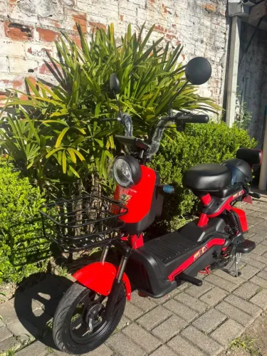 Scooter Elétrica / Autopropelida Ferox