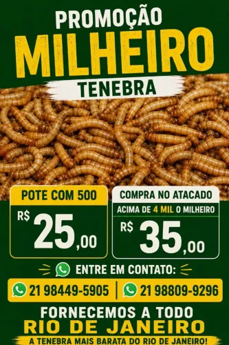Promoção de Tenebrio molitor