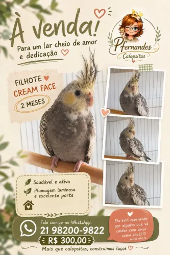 Disponíveis