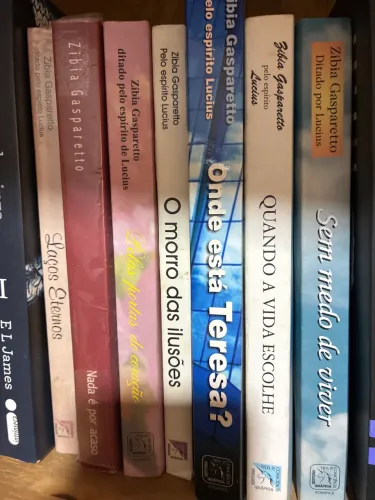 Livros Zibia Gasparetto 7 livros