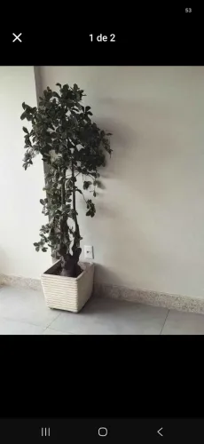 Planta decorativa 1,70 altura com vaso
