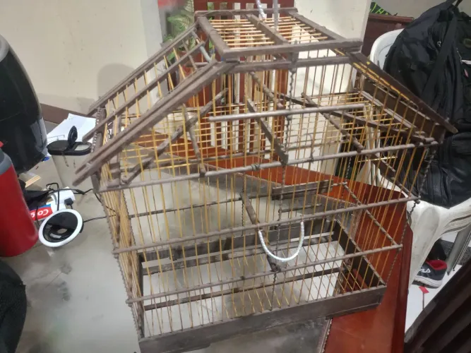 Vendo essa gaiola