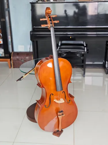Violoncelo Hofma HCE100 - Excelente estado!