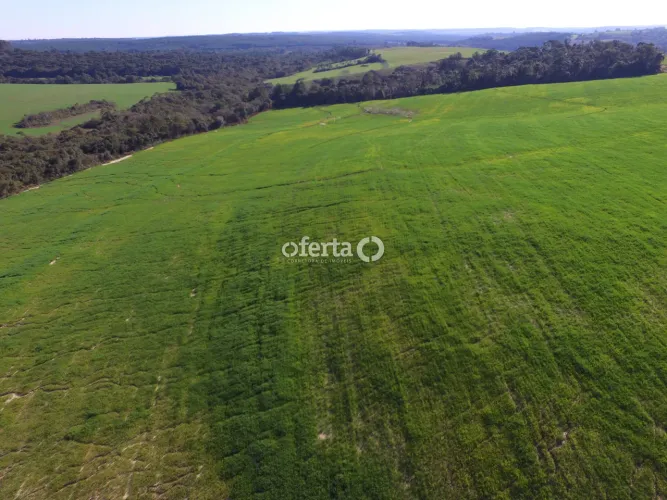 Área com 10 alqueires em Antônio Olinto
