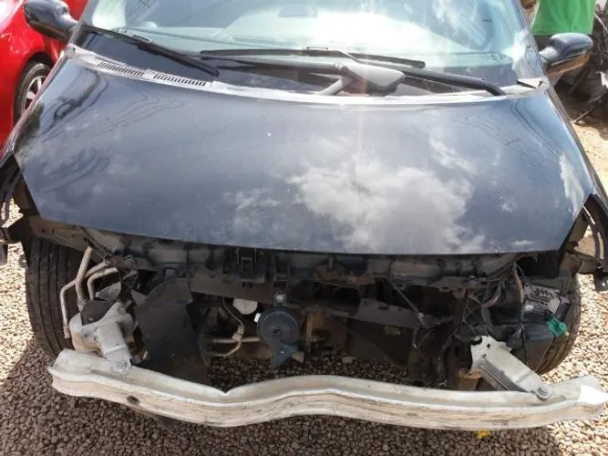 Capo Renault Grand Scenic