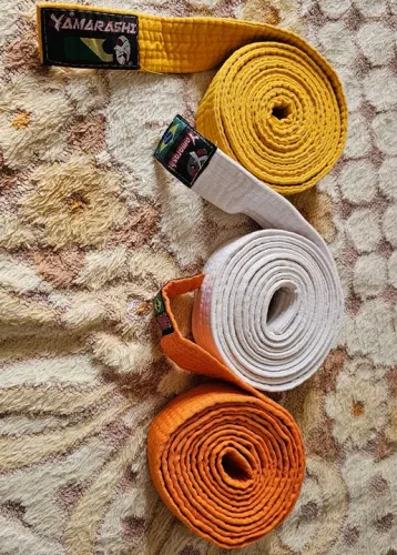 Vendo essas três faixas de luta 