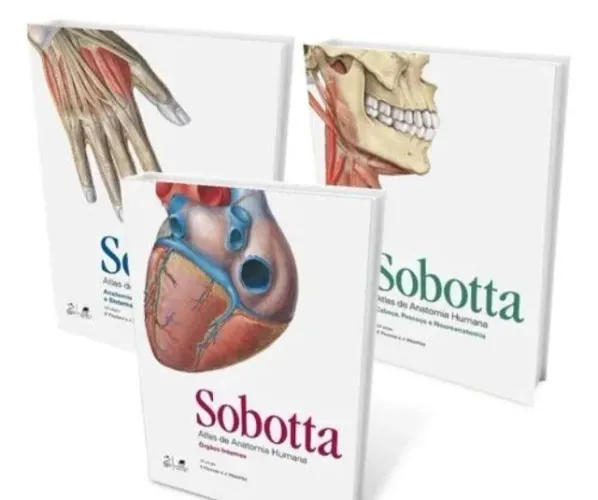 Atlas de anatomia 