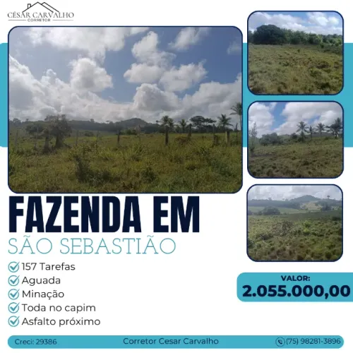 FAZENDA EM SÃO SEBASTIÃO - 137 TAREFAS