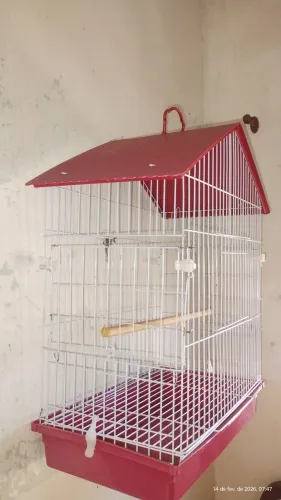 Gaiola para calopsita