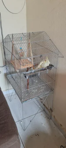 Gaiola para aves