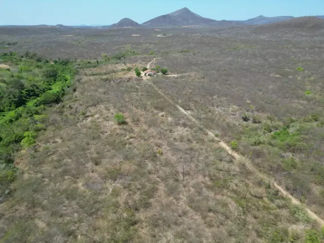 Fazenda em General Sampaio com 820hectares