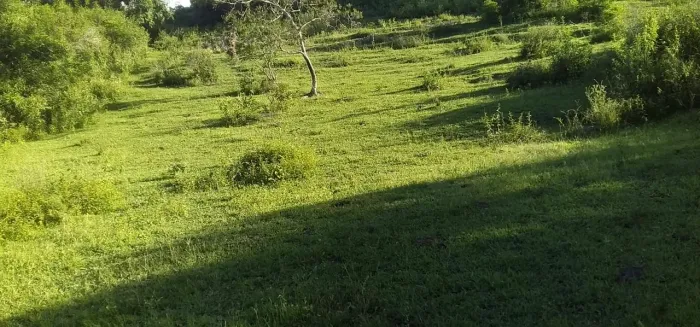 Fazenda a venda no Vale do Jequitinhonha MG