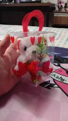 Ursinho de pelúcia na caixa