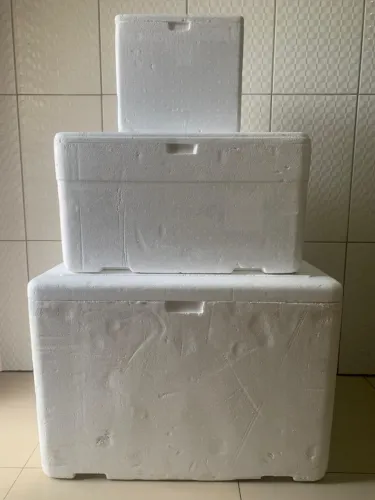 CAIXAS TÉRMICAS DE ISOPOR - vendo as 3 por 150