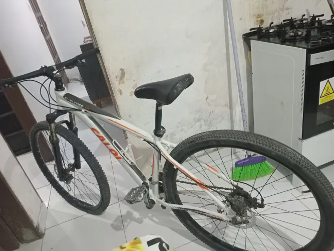 Mountain bike