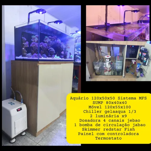 AQUARIO 12MM 120X50X50