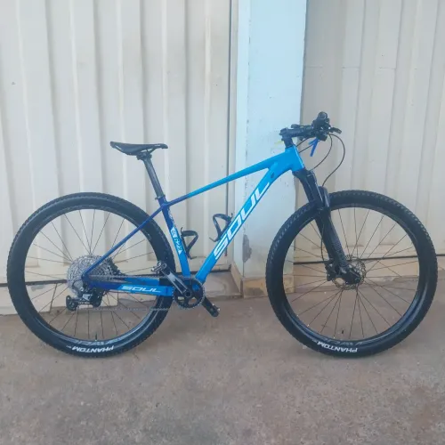 Bicicleta aro 29 - Soul 629