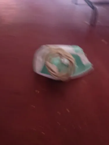 Ferro de passar roupa