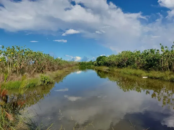 SÍTIO À VENDA 30 HECTARES PRODUTIVOS | KM 665 BR 070 | REGIÃO CONHECIDA COMO SADIA