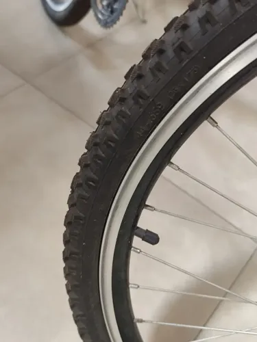 Bicicleta