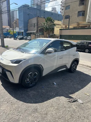 BYD Dolphin Mini (Elétrico) 2027