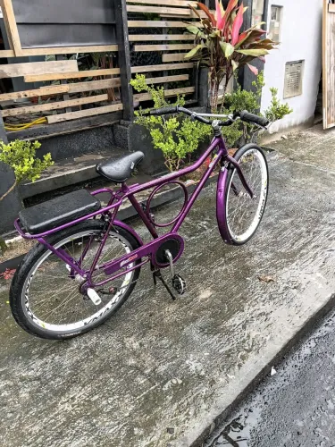 Bicicleta Barra circular roxa