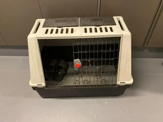 Caixa de Transporte para animais de médio porte (ideal para cães)