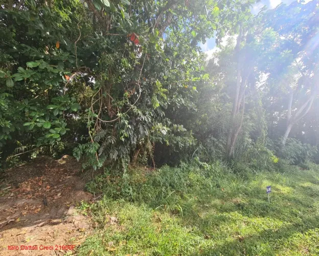 Excelente Terreno Encontro das Águas, escriturado, 4.000 m², oportunidade, Encontro das Ág