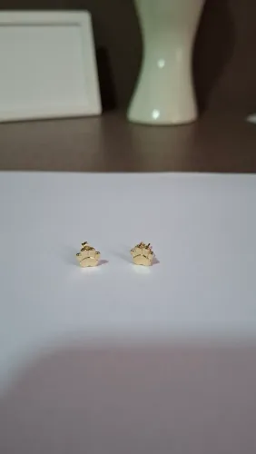 Brinco Patinha Pet Gatinho Polida Banhada a Ouro com Tarraxa Borboleta