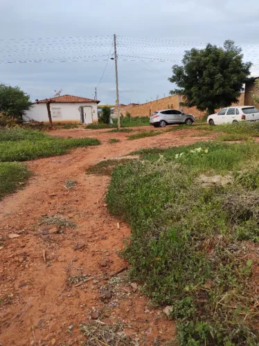 2 terrenos de 10X30 50.000 cada lote