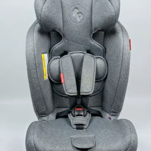 Cadeirinha para carro - FISHER PRICE SEMIN NOVA