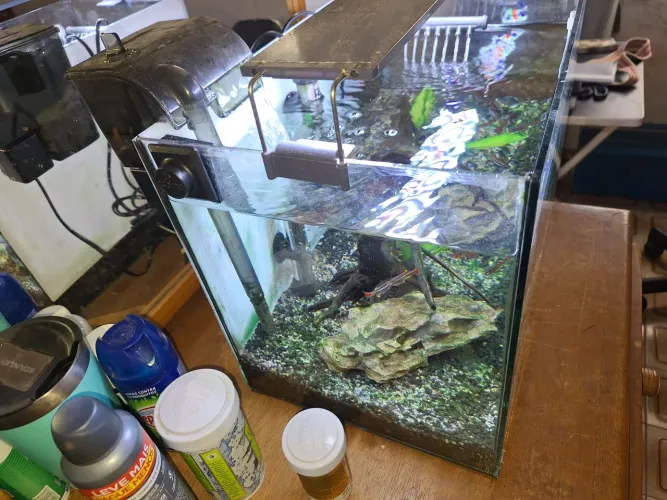 Aquario 32 litros completo
