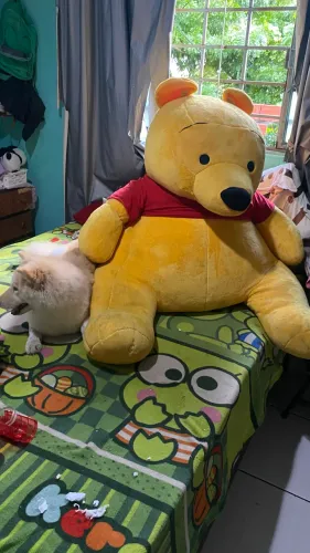 Urso extra grande