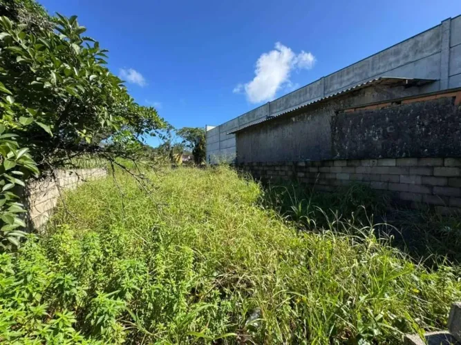 Lote/Terreno à Venda, Gaivota - Itanhaém
