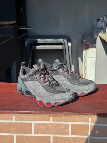 Mizuno wave prophecy 13