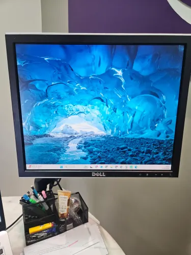 Monitor Dell 17 polegadas completo