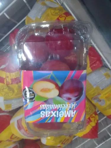 Padaria e reposição 
