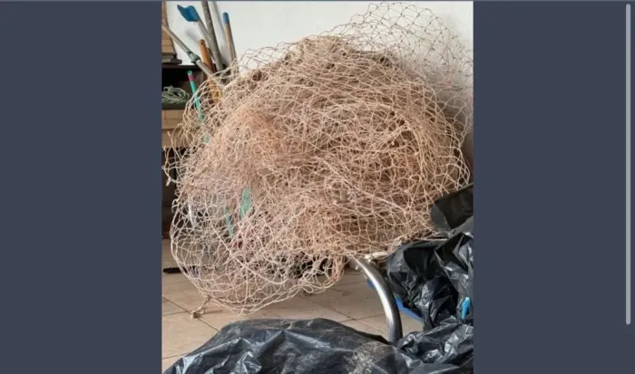 Rede proteção de piscina 