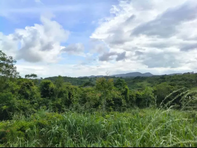 Terreno na serra de mulungu 