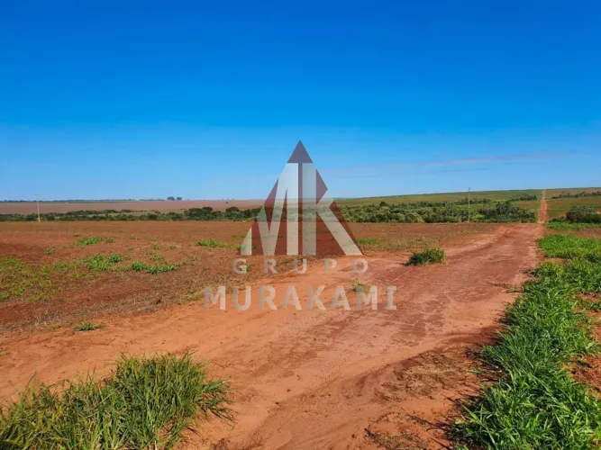 NAVIRAÍ - MATO GROSSO DO SUL