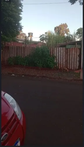 Terreno