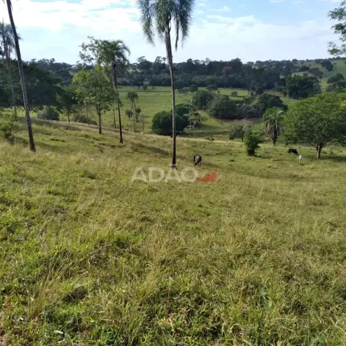 FAZENDA EM GOIÂNIA - GO