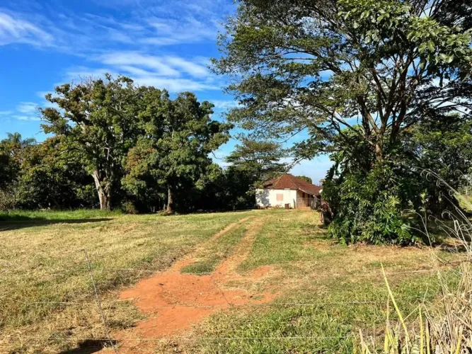 Sitio localização TOP