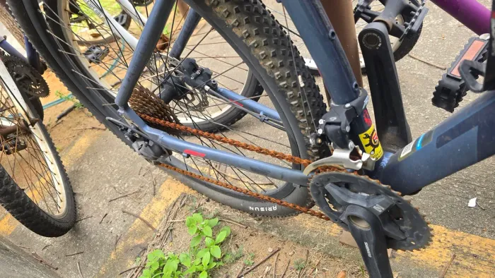 Bicicleta