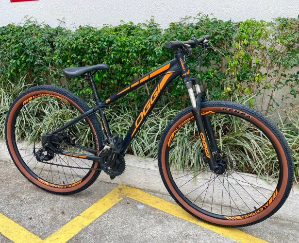 Bike Oggi 29