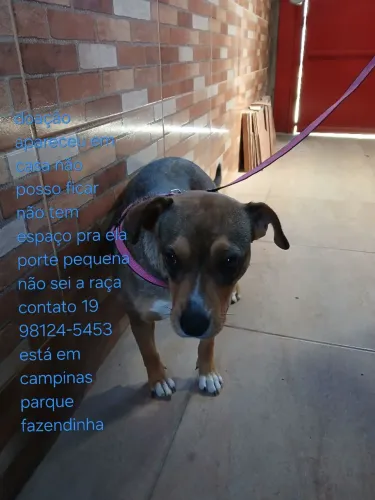 Doação